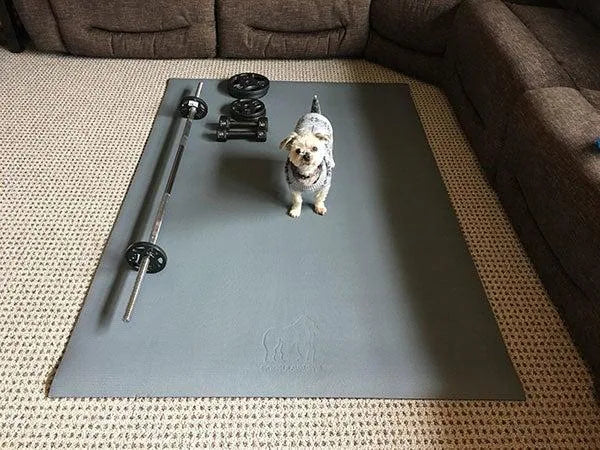 Large grey mat on beige carpet in front of a sectional sofa, with a barbell, dumbbells and a small dog on it